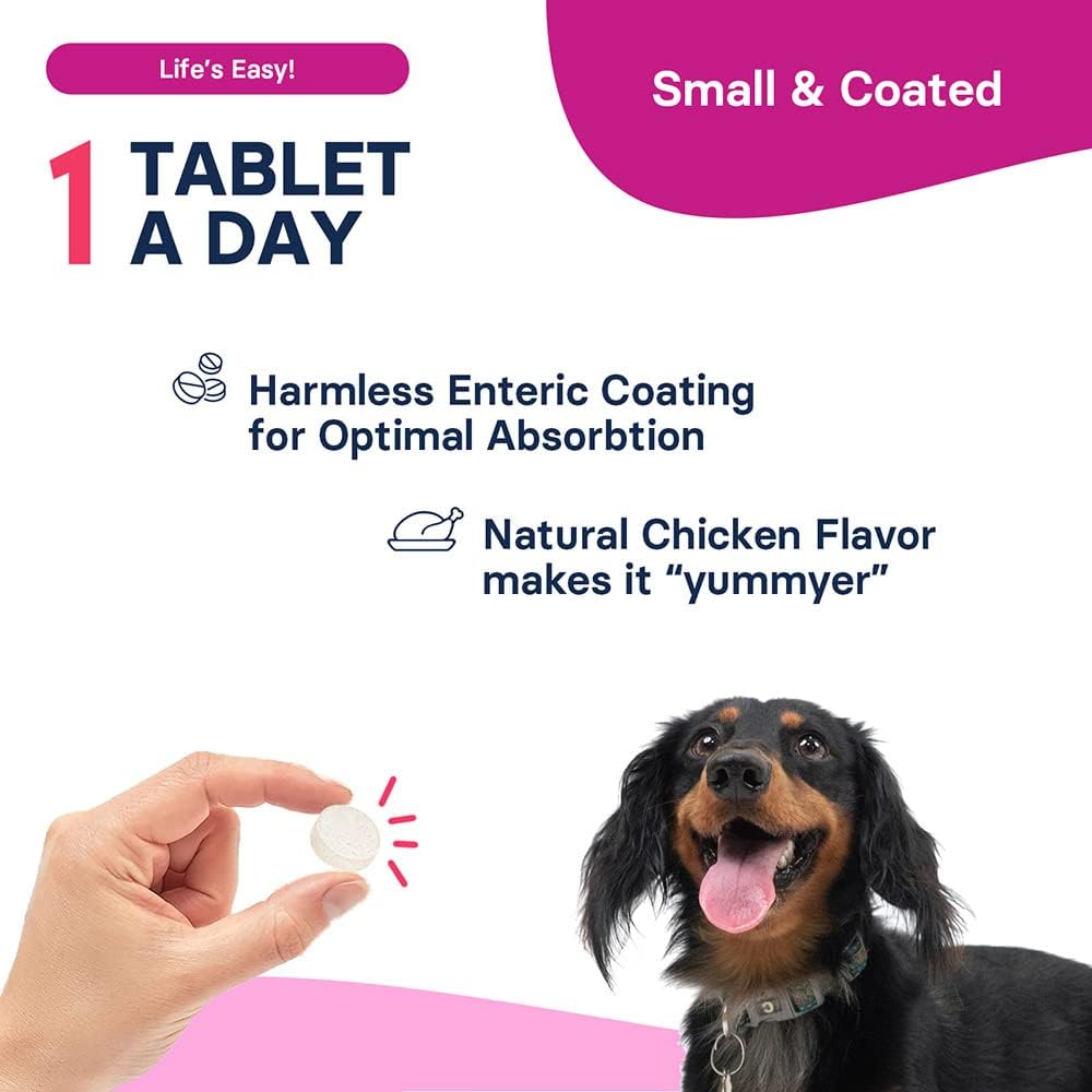 SAM-e Supplement for Small Dogs and Cats - Promotes Liver and Brain Health, 60 Coated Tablets with S-adenosylmethionine