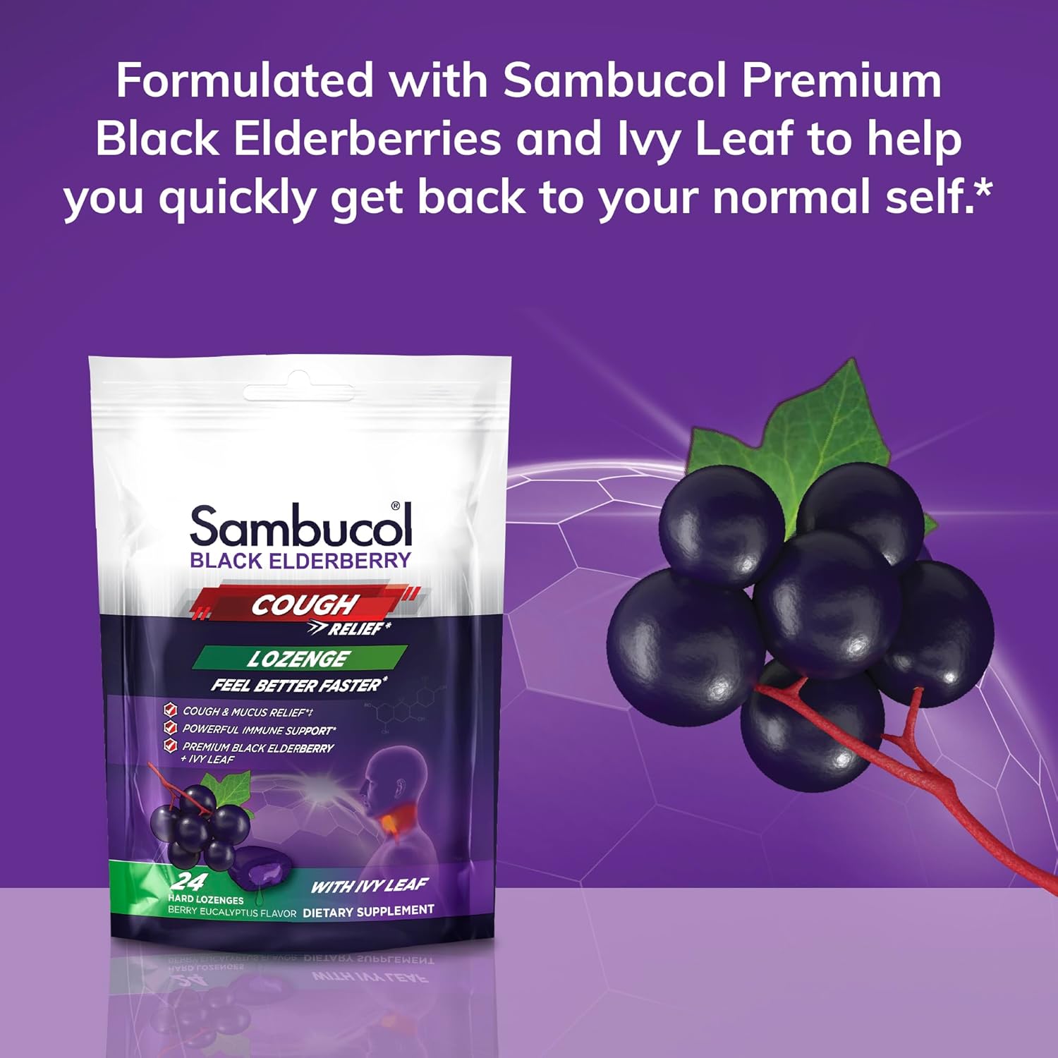 Sambucol Black Elderberry Cough Relief Lozenges with Ivy Leaf - Immune Support Berry Eucalyptus Cough Drops for Adults - 24 Count
