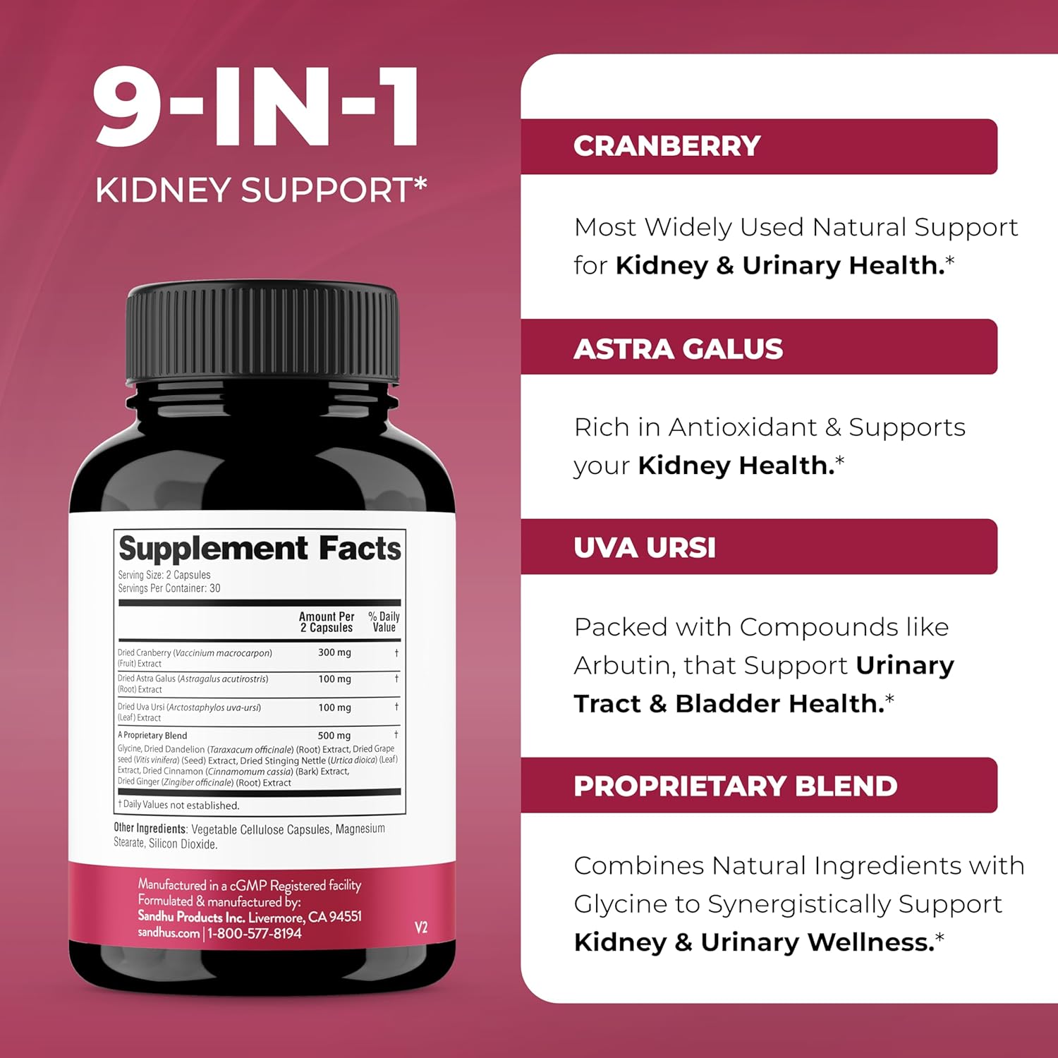 Sandhu's Zinc Quercetin Capsules - Immune and Kidney Health Support