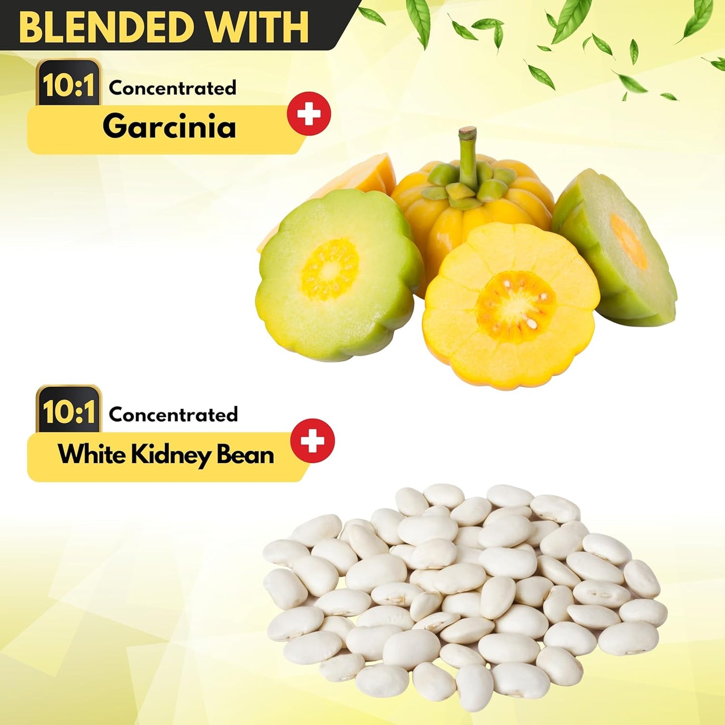 Satoomi Green Tea Extract Pills with Garcinia Cambogia & White Kidney Bean - 120 Capsules for Body Balance & Immune Health