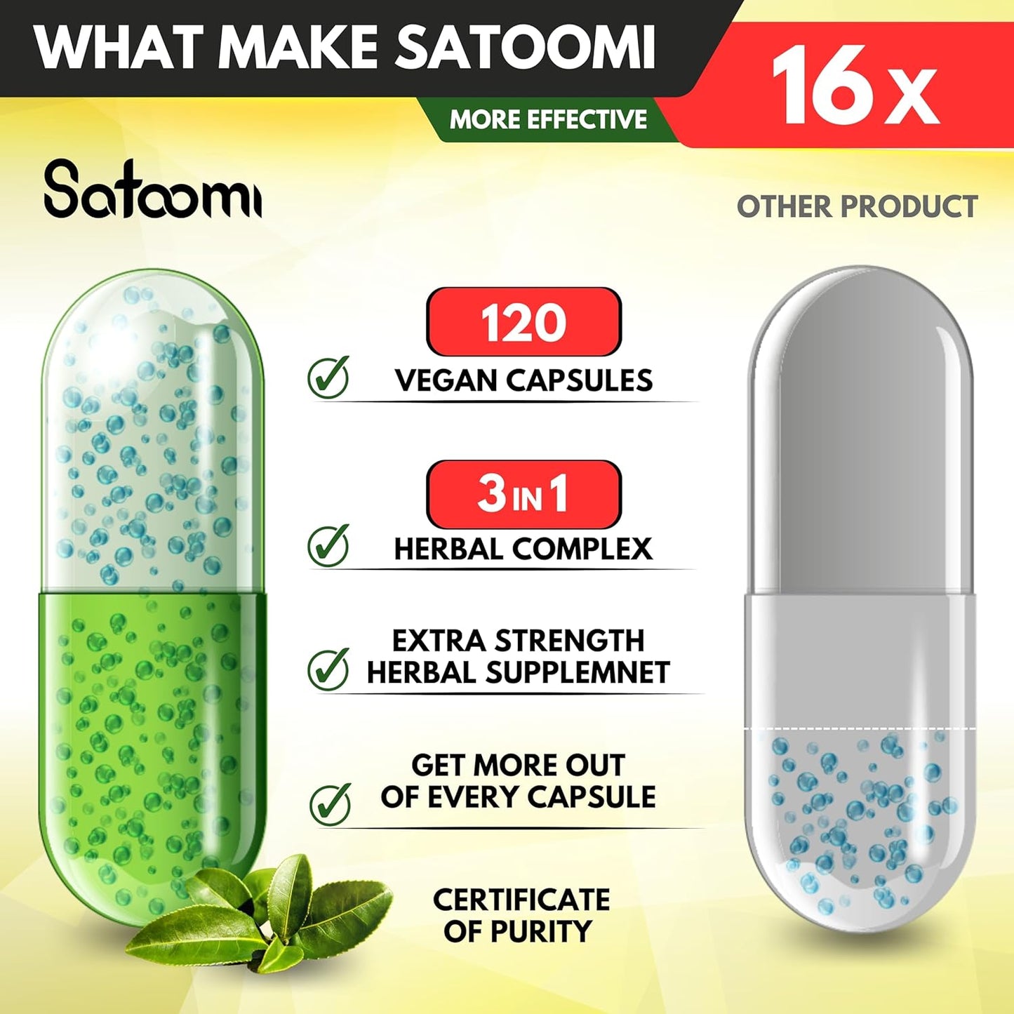 Satoomi Green Tea Extract Pills with Garcinia Cambogia & White Kidney Bean - 120 Capsules for Body Balance & Immune Health