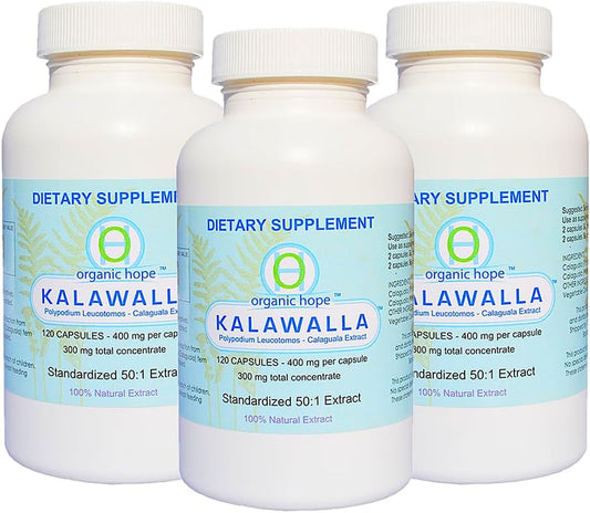 Save $12 on 3-Pack of Kalawalla Organic Hope with Polypodium Leucotomos, 400mg, 50:1 Extract Ratio, Immune System Support