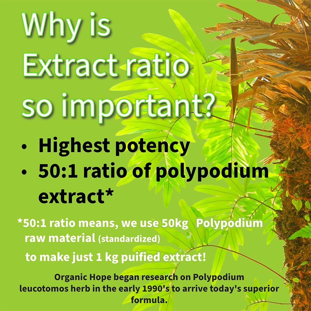 Save $12 on 3-Pack of Kalawalla Organic Hope with Polypodium Leucotomos, 400mg, 50:1 Extract Ratio, Immune System Support