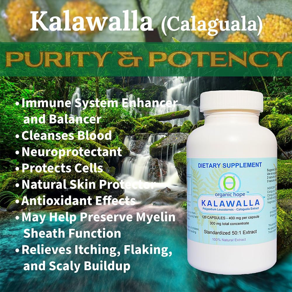 Save $12 on 3-Pack of Kalawalla Organic Hope with Polypodium Leucotomos, 400mg, 50:1 Extract Ratio, Immune System Support