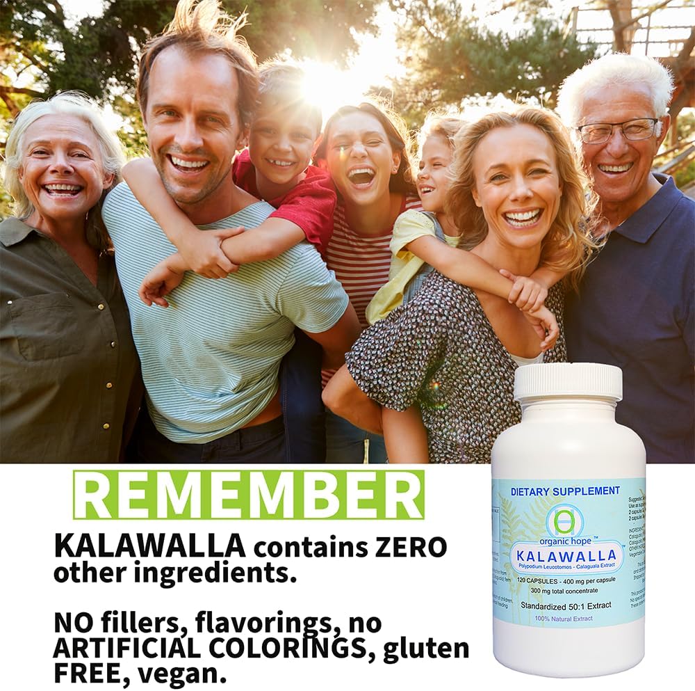 Save $12 on 3-Pack of Kalawalla Organic Hope with Polypodium Leucotomos, 400mg, 50:1 Extract Ratio, Immune System Support