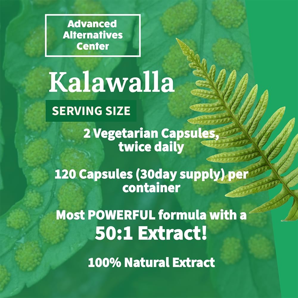 Save $12 on 3-Pack of Kalawalla Organic Hope with Polypodium Leucotomos, 400mg, 50:1 Extract Ratio, Immune System Support