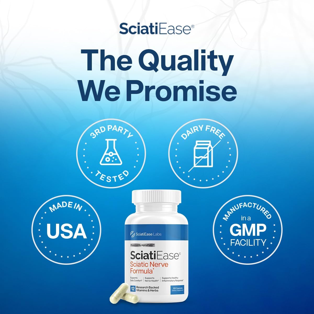 SciatiEase Sciatic Nerve Health Support Supplement - Nerve Support Formula with AlphaPalm, Pea, Vitamin B Complex, Alpha Lipoic Acid - 120 Capsules