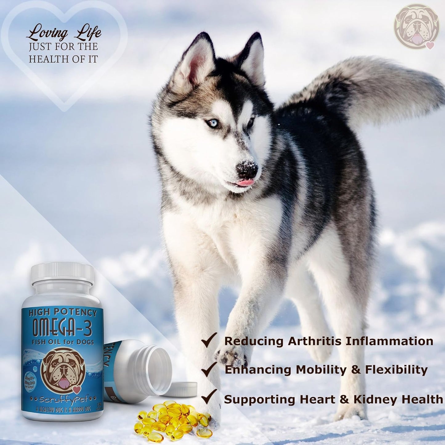 ScruffyPet Omega-3 Fish Oil Softgels for Dogs with Vitamin E - Highest EPA & DHA Content, 1000mg, 180ct