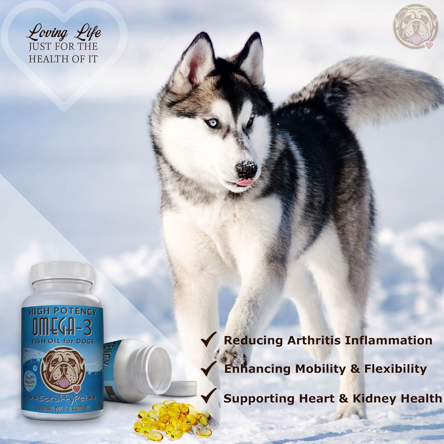 ScruffyPet Omega-3 Fish Oil Softgels for Dogs with Vitamin E - Highest EPA & DHA Content, 1000mg, 180ct