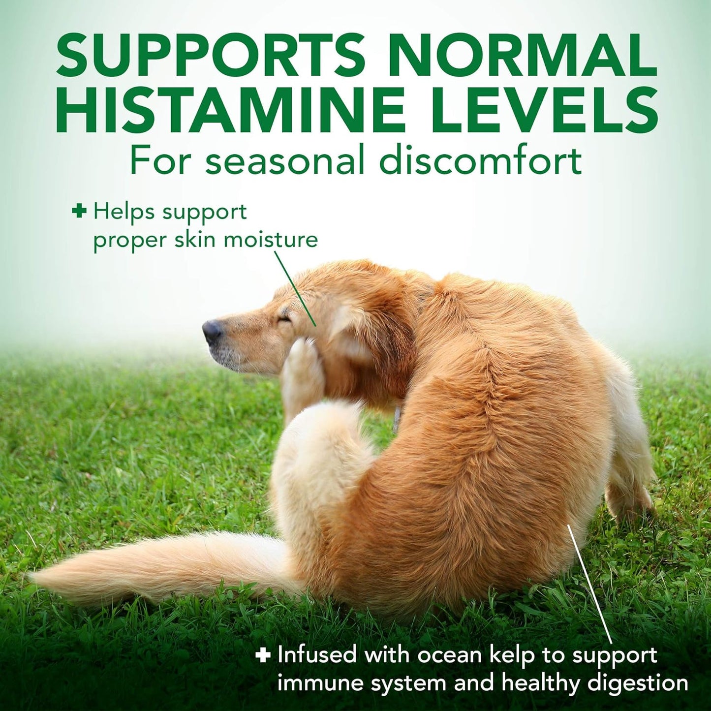 Seasonal Allergy Soft Chews for Dogs | Soothes Skin Irritation | Maintains Histamine Levels | 50 Chewable Tablets, 30 Count (Pack of 2)