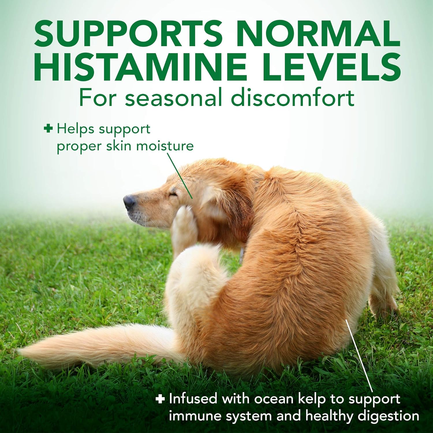 Seasonal Allergy Soft Chews for Dogs | Soothes Skin Irritation | Maintains Histamine Levels | 50 Chewable Tablets, 30 Count (Pack of 2)