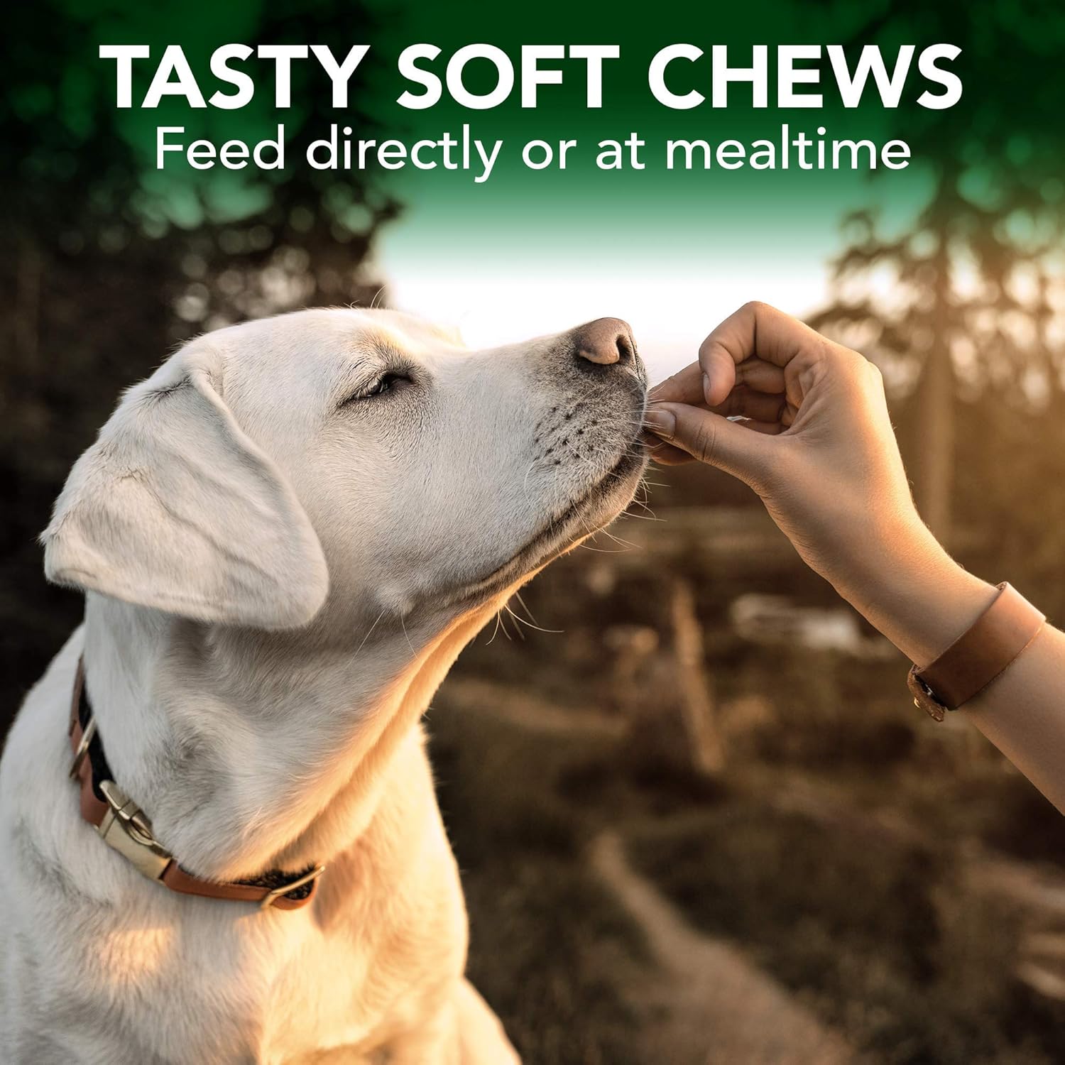 Seasonal Allergy Soft Chews for Dogs | Soothes Skin Irritation | Maintains Histamine Levels | 50 Chewable Tablets, 30 Count (Pack of 2)