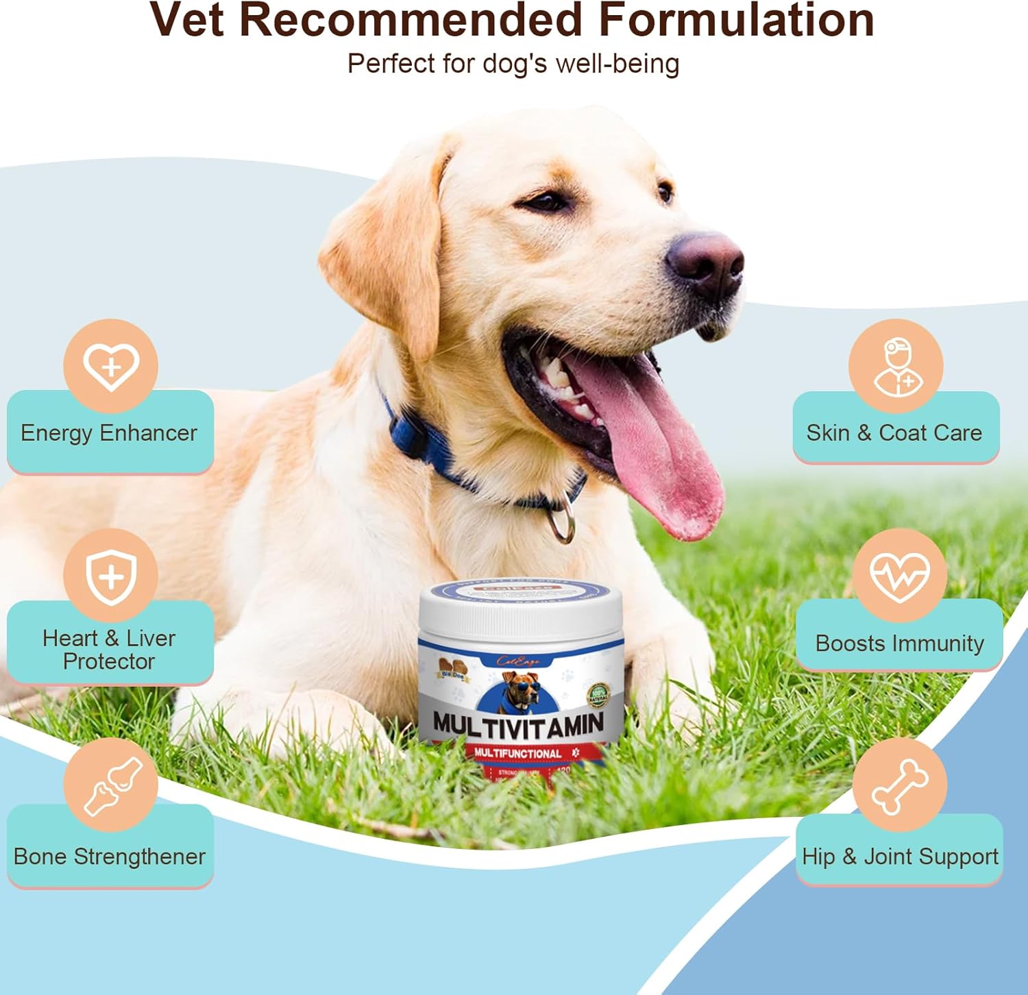 Senior and Puppy Dog Multivitamin Supplement with Glucosamine, Probiotics, and Omegas 3 - Supports Immune, Digestive, Joint, Skin, and Coat Health - 10 in 1 Formula