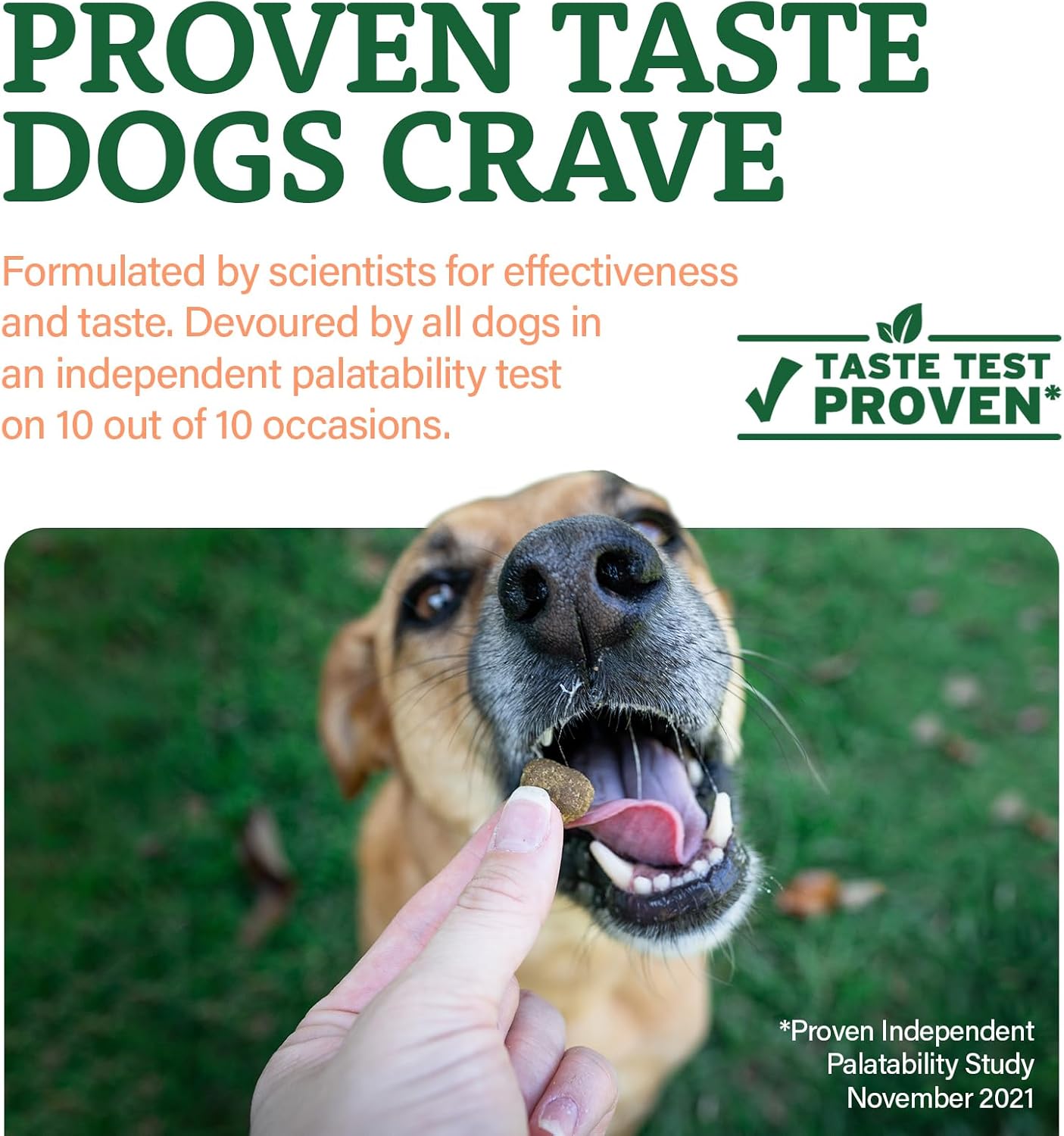 Senior Dog Multivitamin Soft Chews for Joints, Skin & Coat | Bacon Flavor | 120 Count