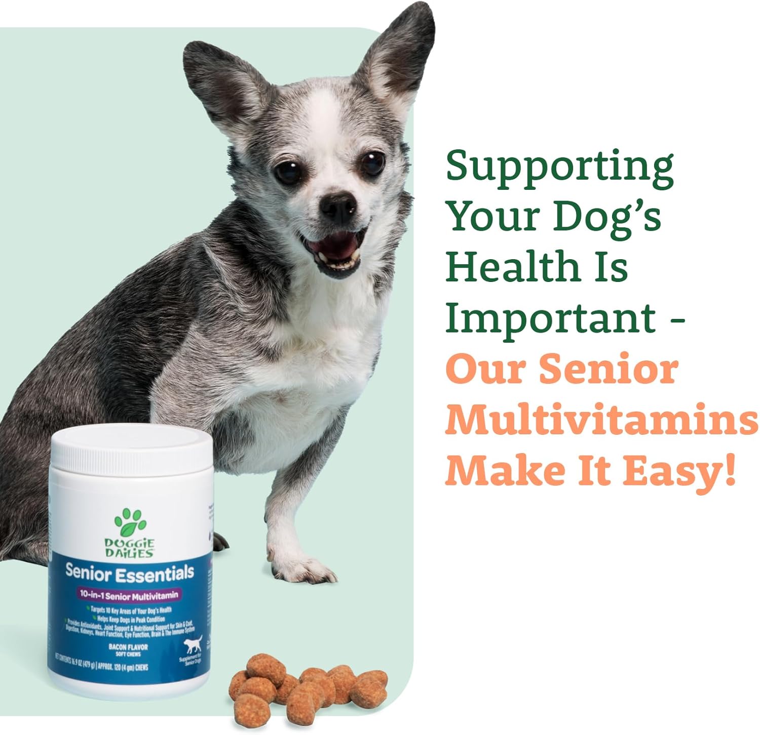 Senior Dog Multivitamin Soft Chews for Joints, Skin & Coat | Bacon Flavor | 120 Count