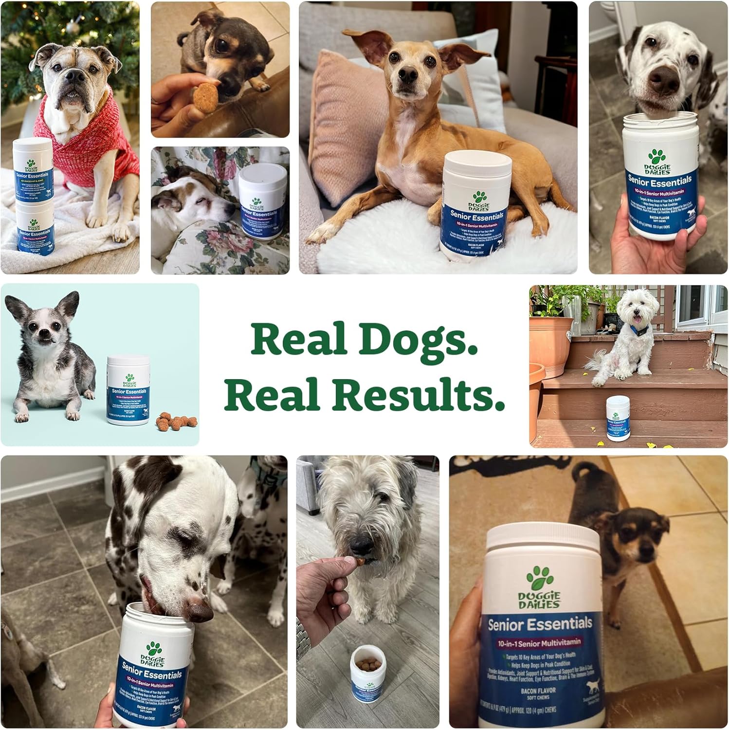 Senior Dog Multivitamin Soft Chews for Joints, Skin & Coat | Bacon Flavor | 120 Count