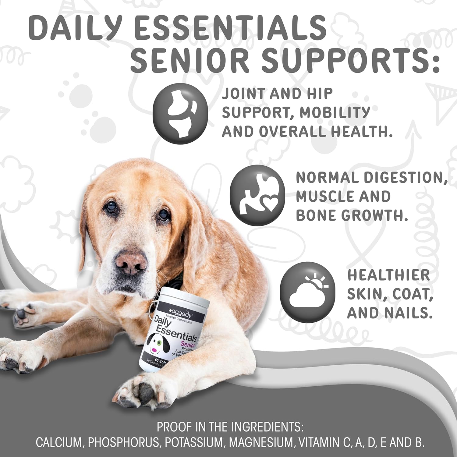 Senior Dog Multivitamin Soft Chews with Glucosamine for Joint Health and Digestion - 60 Count