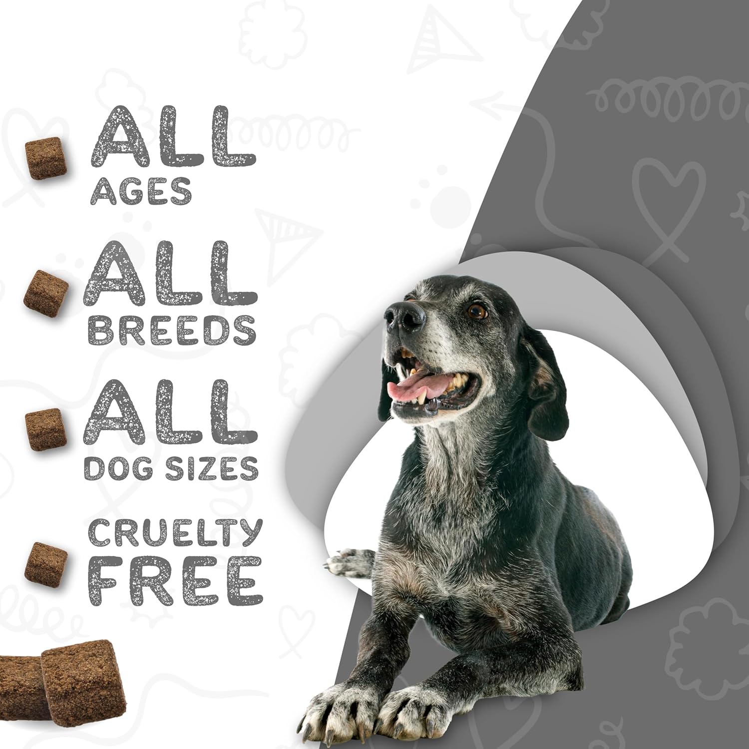 Senior Dog Multivitamin Soft Chews with Glucosamine for Joint Health and Digestion - 60 Count