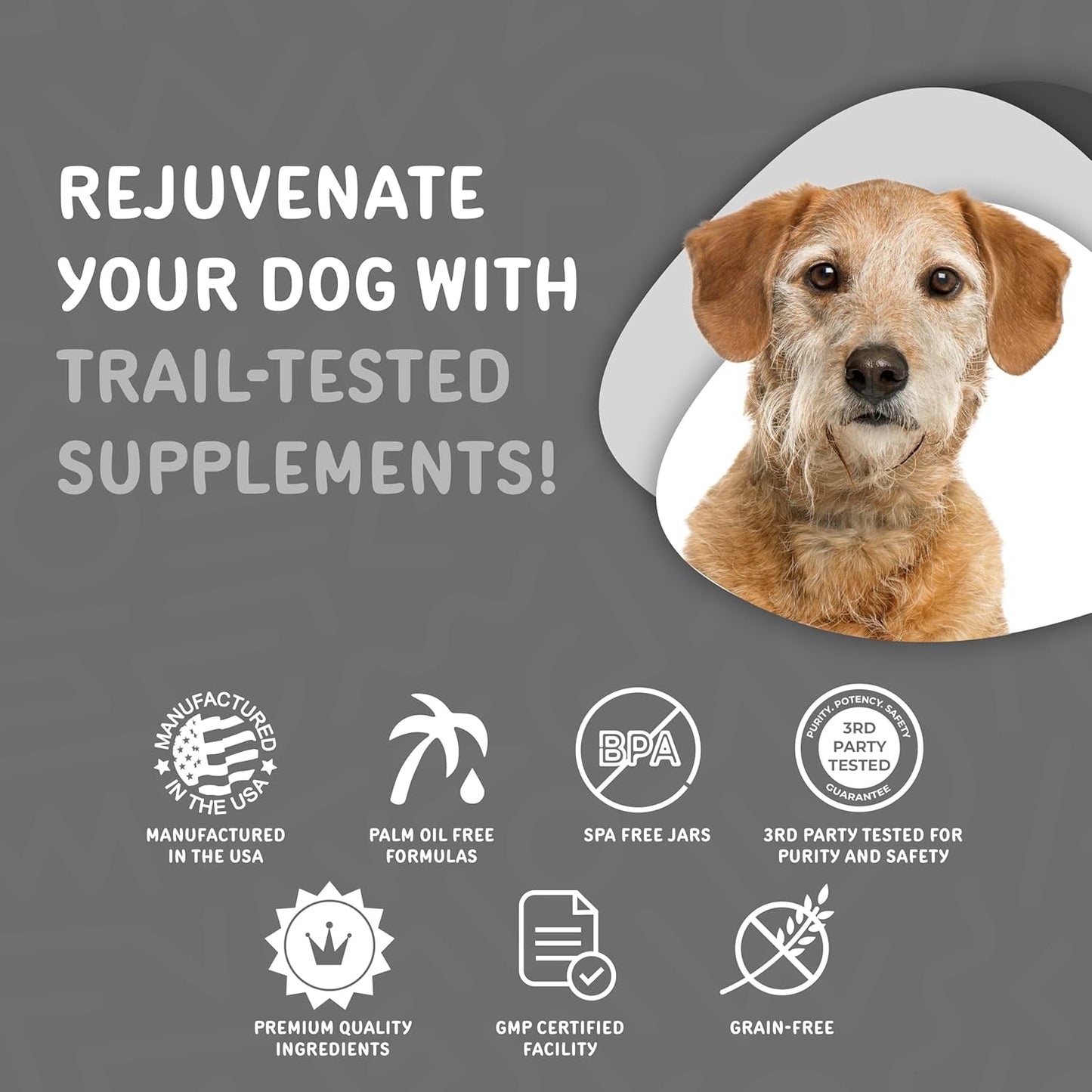 Senior Dog Multivitamin Soft Chews with Glucosamine for Joint Health and Digestion - 60 Count