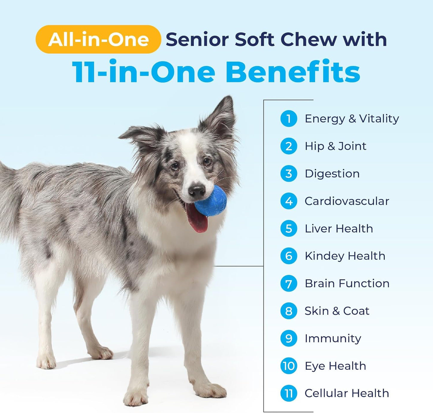 Senior Dog Multivitamin with Glucosamine, Omega 3 Fish Oil & Probiotics - All-in-One Support for Joints, Digestion, Immunity (120 Ct)