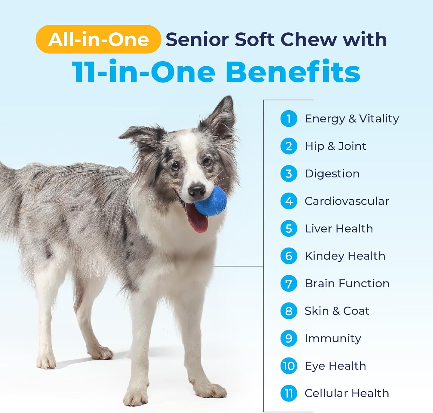 Senior Dog Multivitamin with Glucosamine, Omega 3 Fish Oil & Probiotics - All-in-One Support for Joints, Digestion, Immunity (120 Ct)