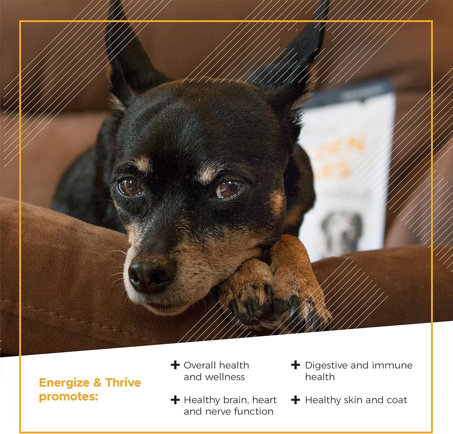 Senior Dogs Daily Multivitamin with BCAAs for Energy and Vitality, Chicken Flavor, 60 Chews by VetriScience