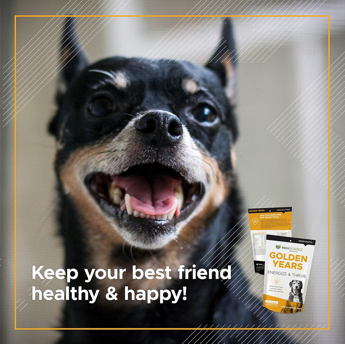 Senior Dogs Daily Multivitamin with BCAAs for Energy and Vitality, Chicken Flavor, 60 Chews by VetriScience