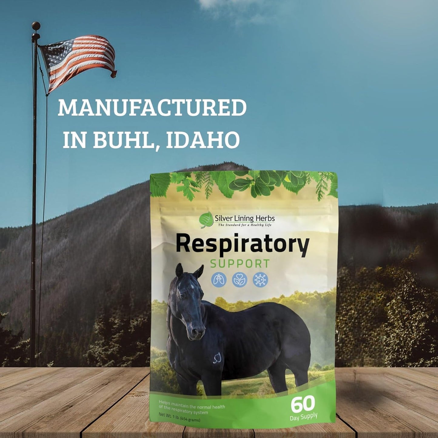 Silver Lining Herbs 22 Respiratory Support for Horses - Promotes Lung Health, Clear Airways, and Combatting Pollutants - 1 lb Bag