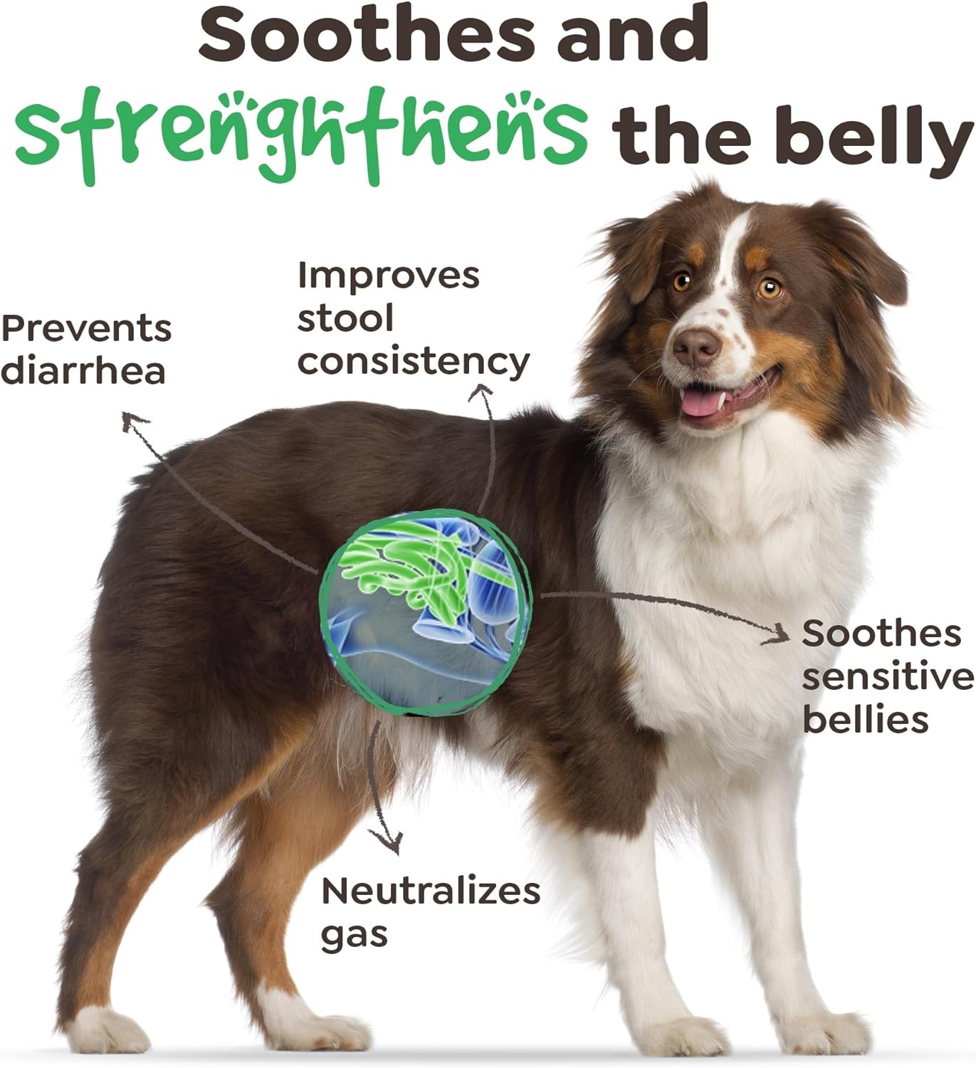 SimplyNatural Probiotic Chews for Dogs - Natural Pet Food with 4 Billion CFUs, Digestive Enzymes, Prevent Diarrhea, Promote Healthy Gut, 90 Dog Probiotics