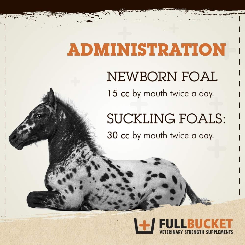 Single FullBucket Foal Probiotic Paste - Supports Digestive Health in Young Horses