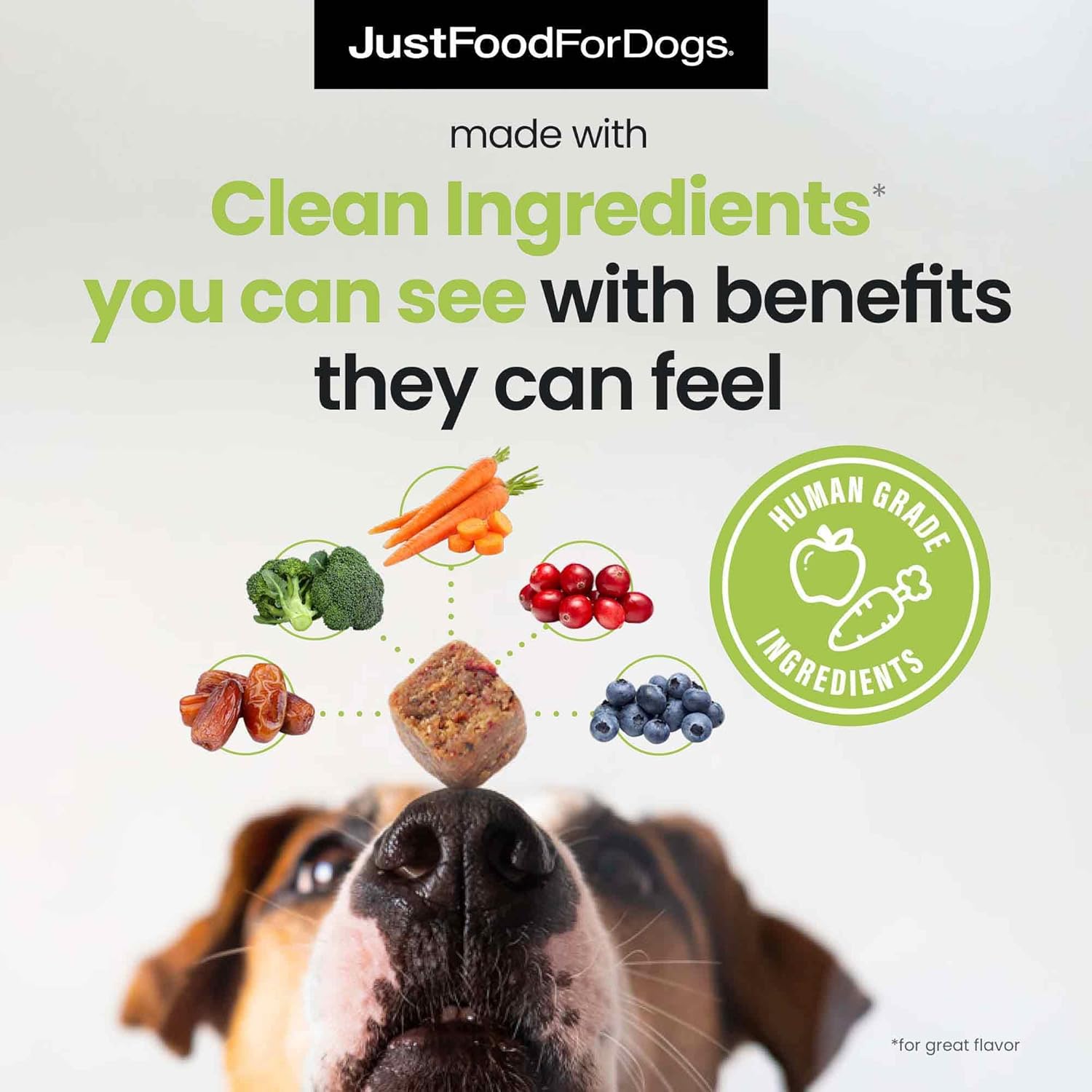 Skin & Allergy Care Soft Chews Supplement for Dogs - 45 Count, Supports Seasonal Allergies, Itchy Skin, Inflammation & Immune Health