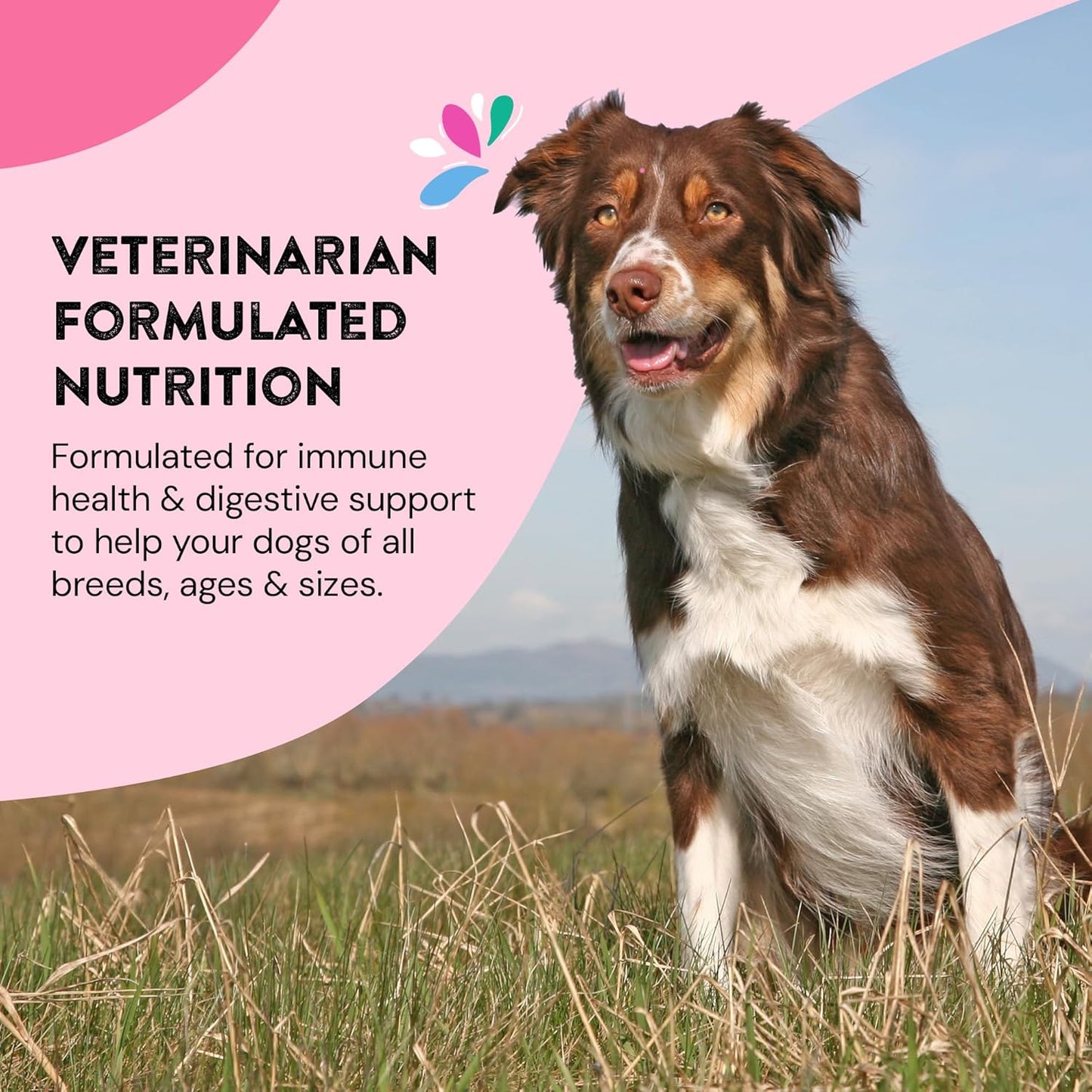 Skin & Coat Probiotic Supplement for Dogs with Wild Salmon Omega 3s - Promotes Healthy Shine Inside Out - 120 Count