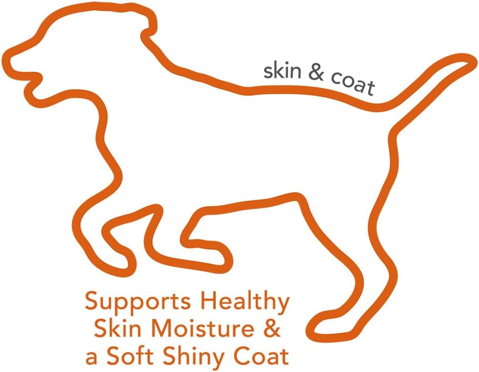 Skin & Coat Soft Chew Dog Supplements with Vitamin E & Biotin - Promotes Healthy Skin & Coat - 30 Day Supply
