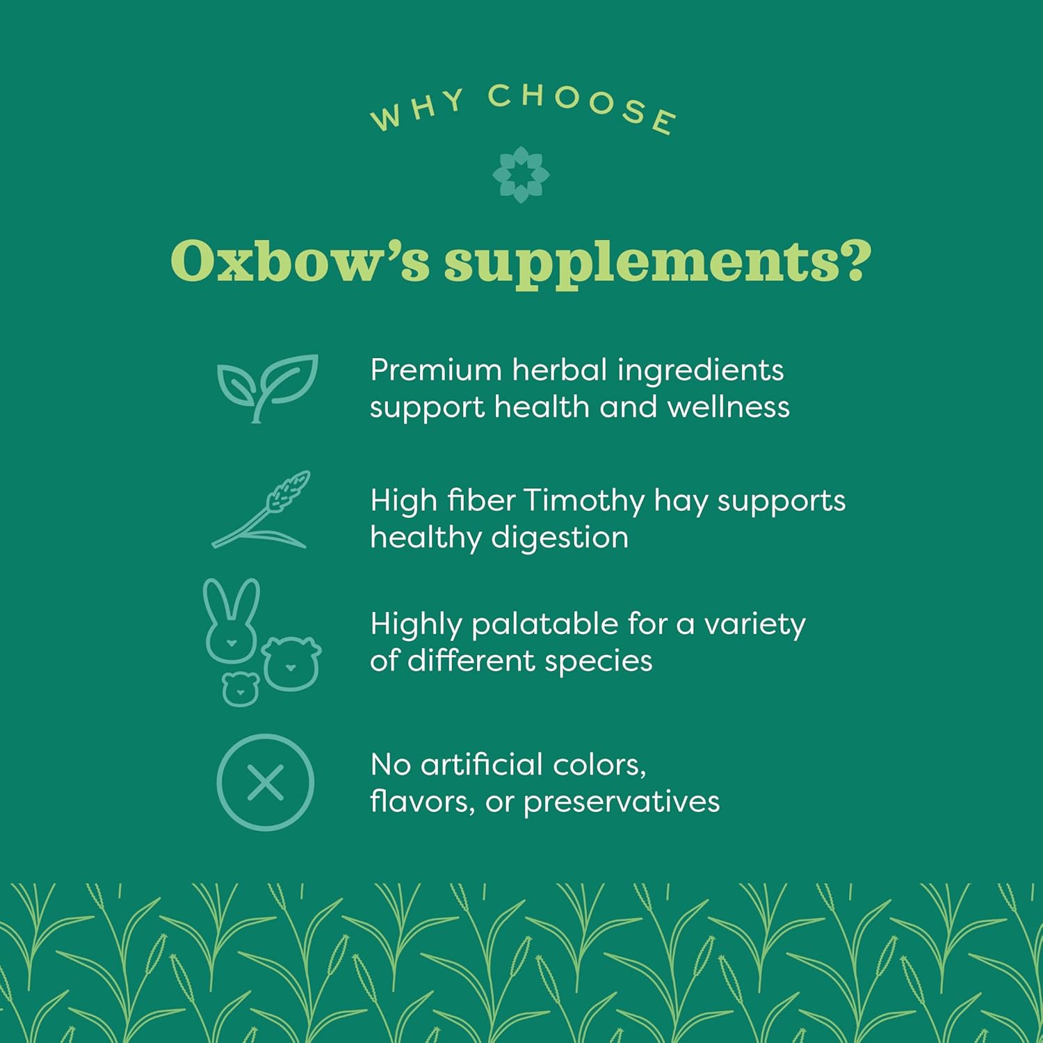 Small Animal Multivitamin with Essential Vitamins, Omega 3 & 6 Fatty Acids - 4.2 oz.