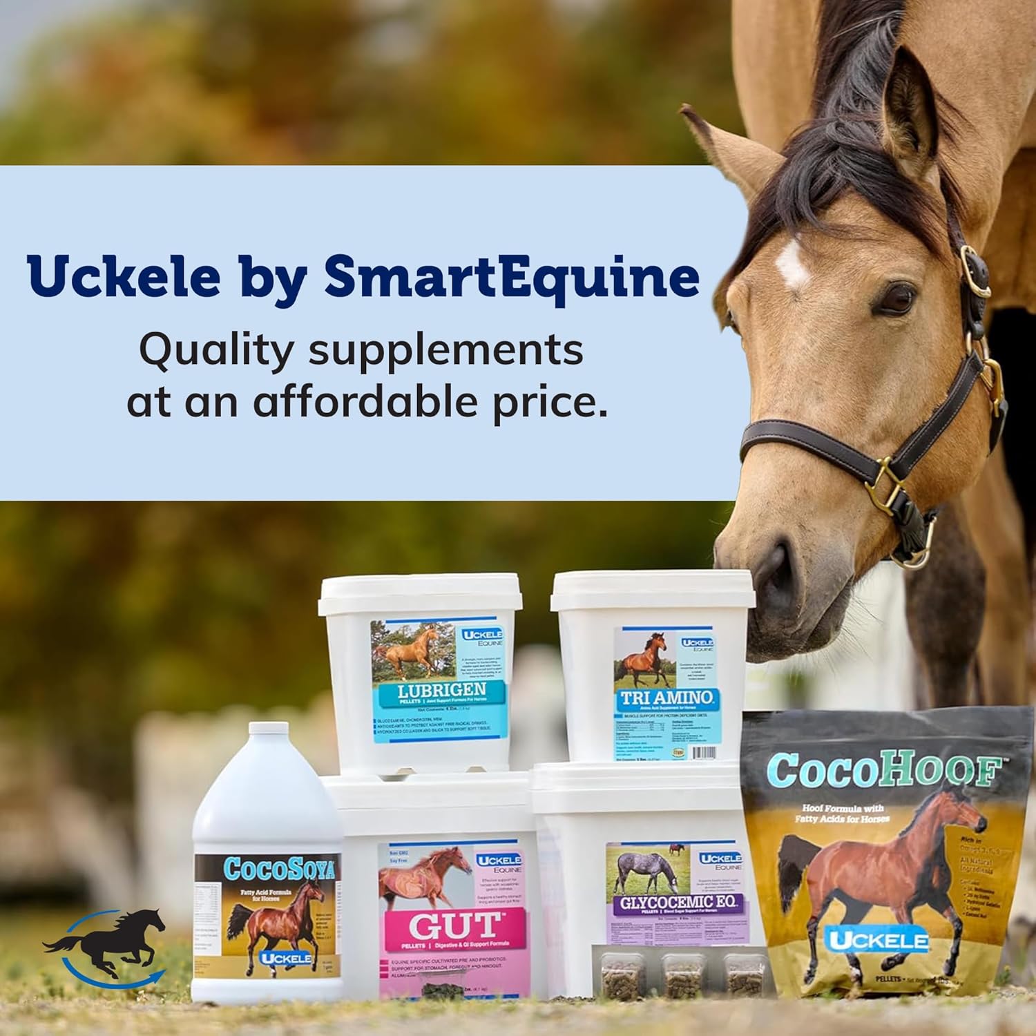 SmartEquine Phyto-Quench + DC™ Pellets 5 lb Bucket | Horse Immune Support with Vitamin E and Antioxidants