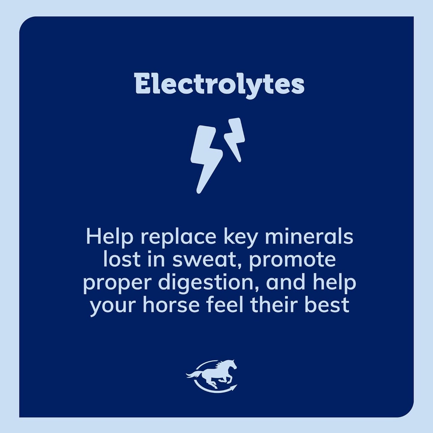 SmartPak SmartLytes Bundle: Horse Electrolyte Powder & Paste, Promotes Hydration, Replenishes Electrolytes, No Sugar