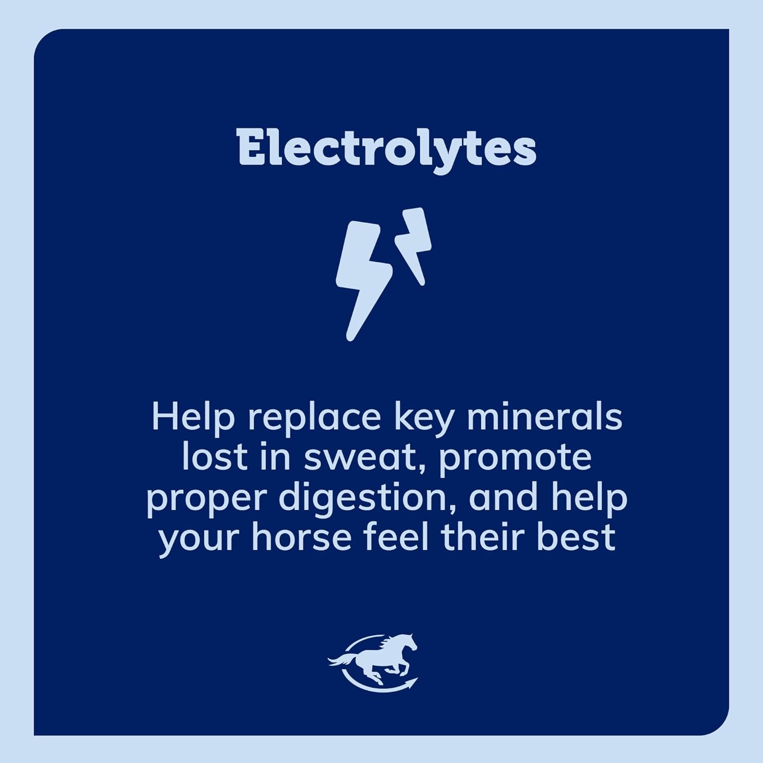 SmartPak SmartLytes Bundle: Horse Electrolyte Powder & Paste, Promotes Hydration, Replenishes Electrolytes, No Sugar
