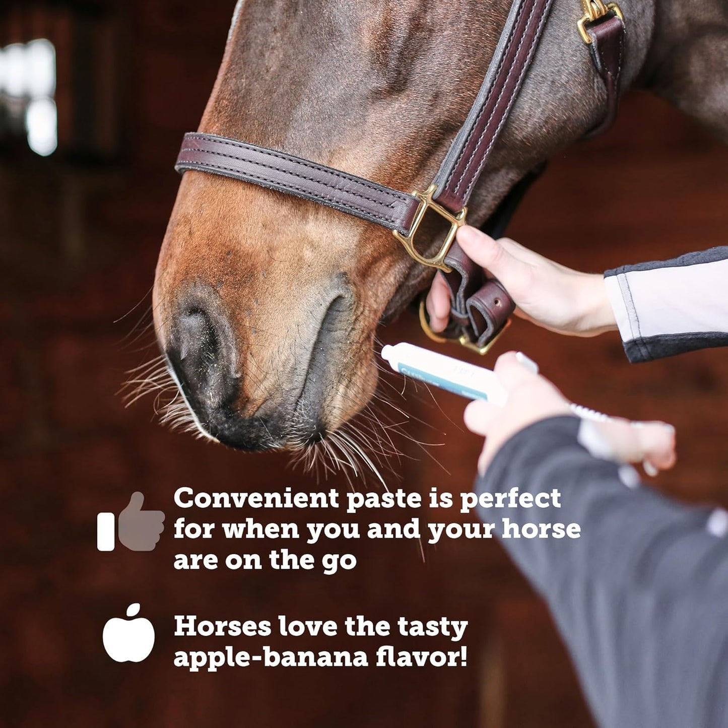 SmartPak SmartLytes Paste for Horses | Electrolyte Paste with Apple Banana Flavor, Hydration Support, 6 Tubes