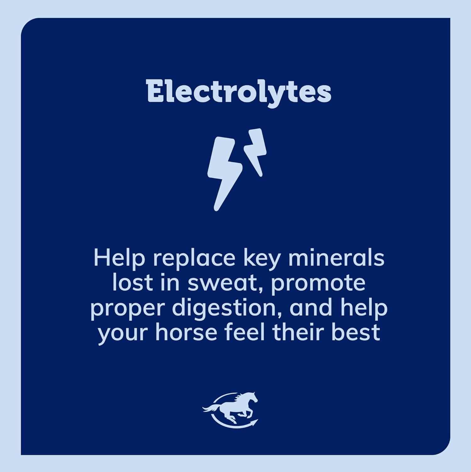 SmartPak SmartLytes Paste for Horses | Electrolyte Paste with Apple Banana Flavor, Hydration Support, 6 Tubes