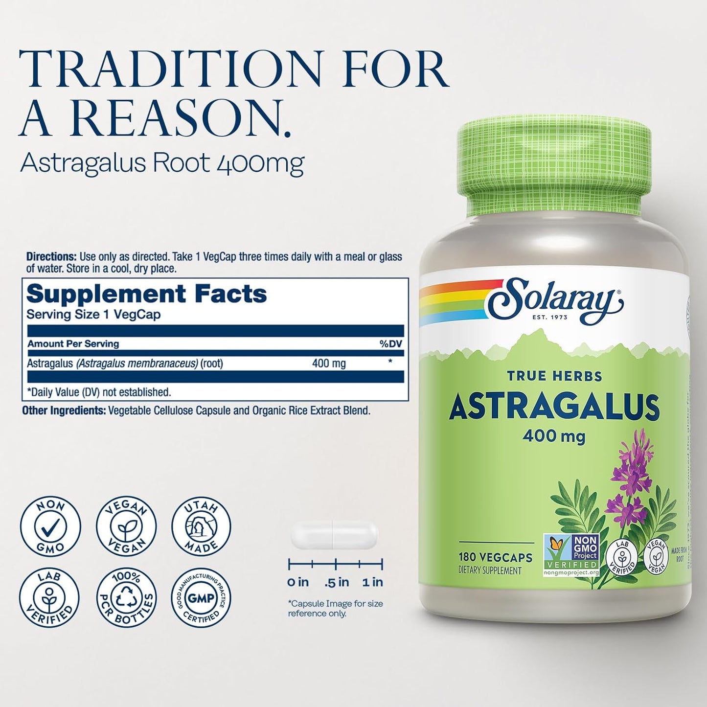 Solaray Astragalus Root 400mg Capsules - Herbal Immune Support Supplement - Non-GMO, Vegan and Lab Tested - 180 Servings
