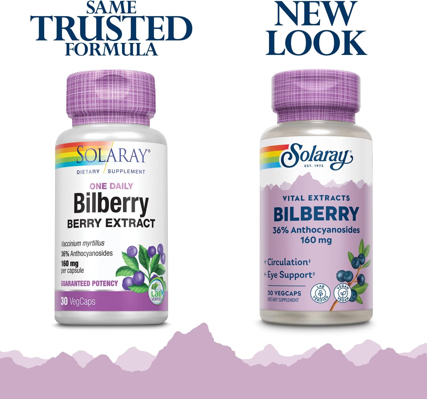Solaray Bilberry Extract 160mg Capsules - Eye Health & Circulation Support with 36% Anthocyanosides and Blueberry - Vegan - 30 Count