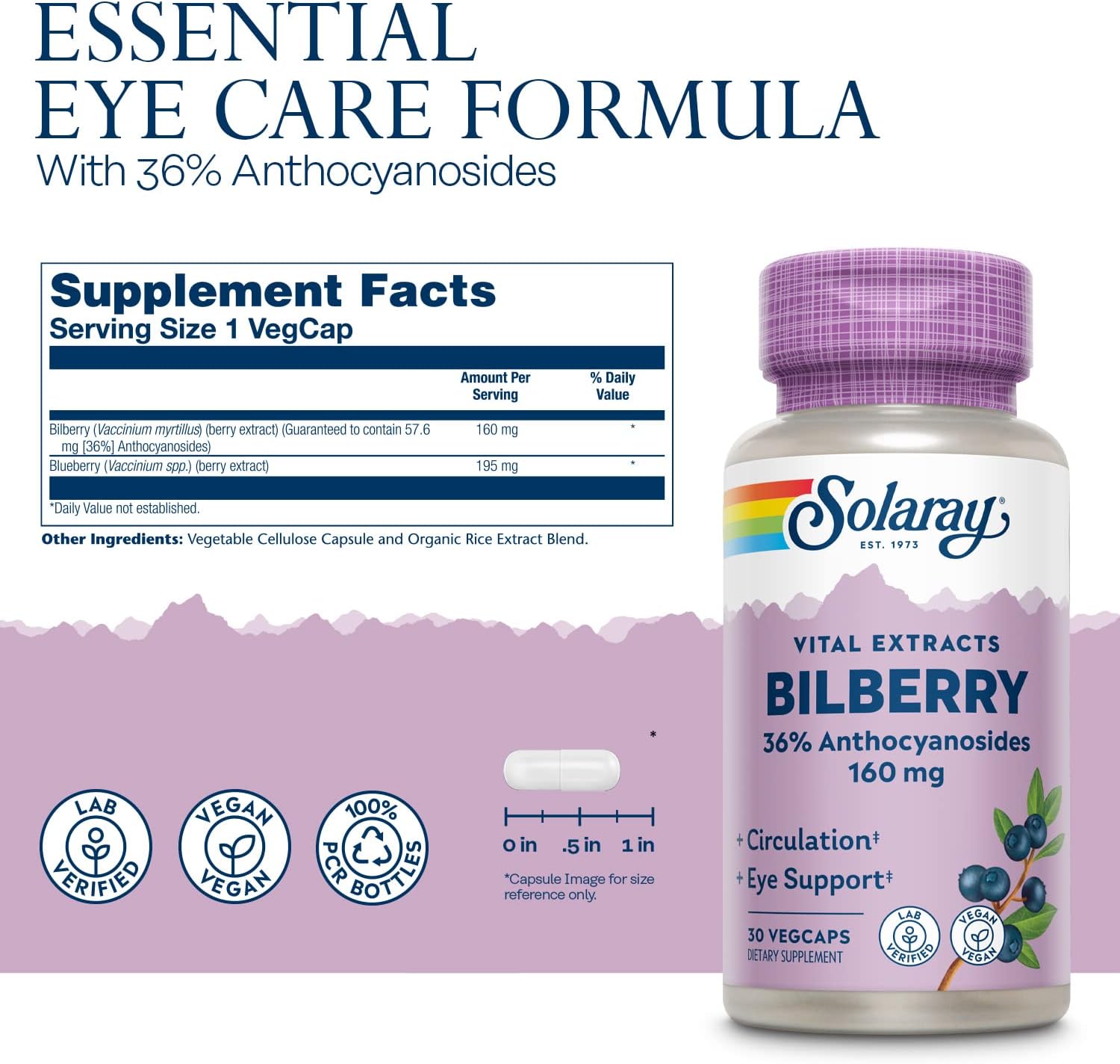 Solaray Bilberry Extract 160mg Capsules - Eye Health & Circulation Support with 36% Anthocyanosides and Blueberry - Vegan - 30 Count