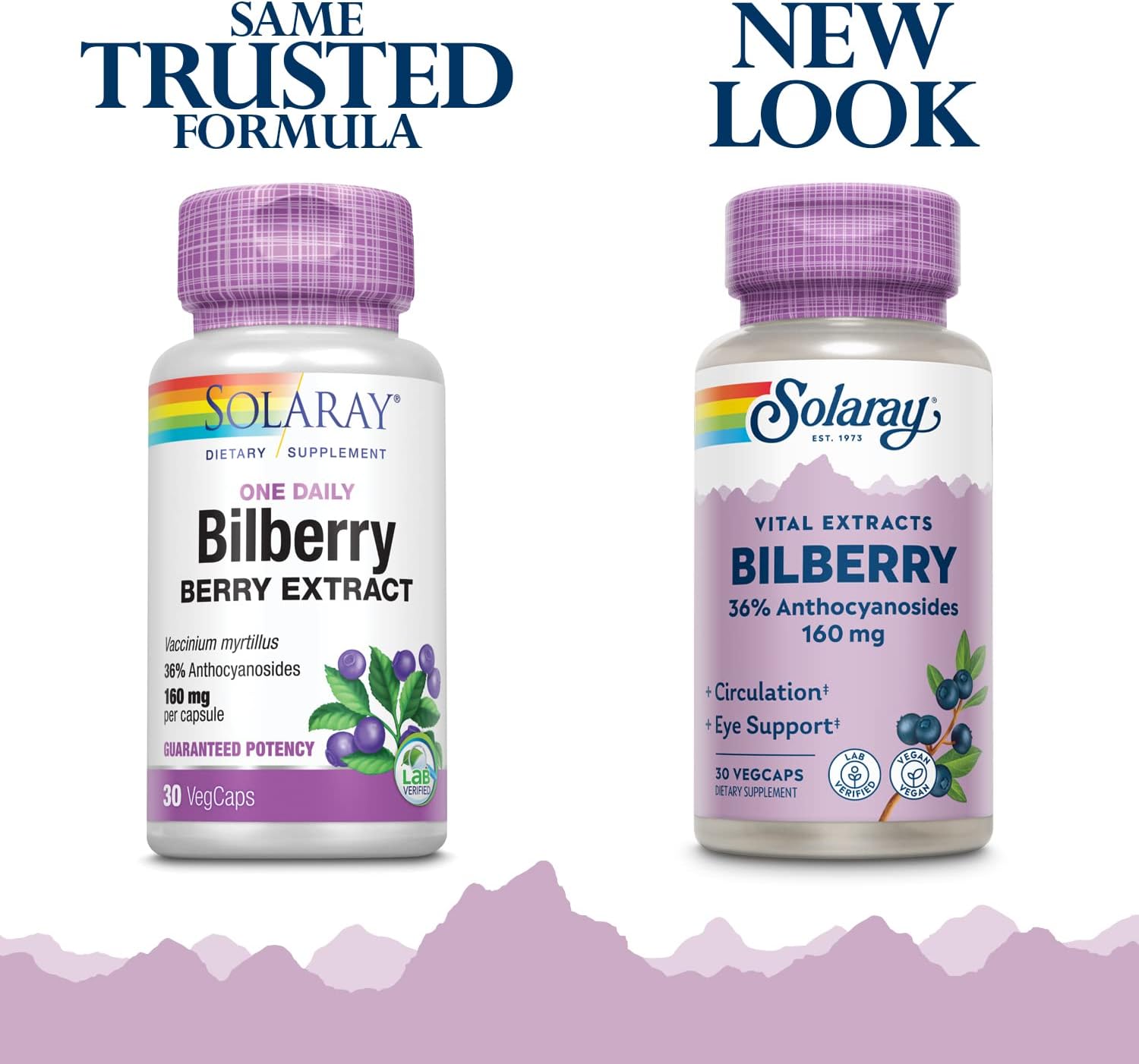 Solaray Bilberry Extract 160mg Capsules - Eye Health & Circulation Support with 36% Anthocyanosides and Blueberry - Vegan - 30 Count