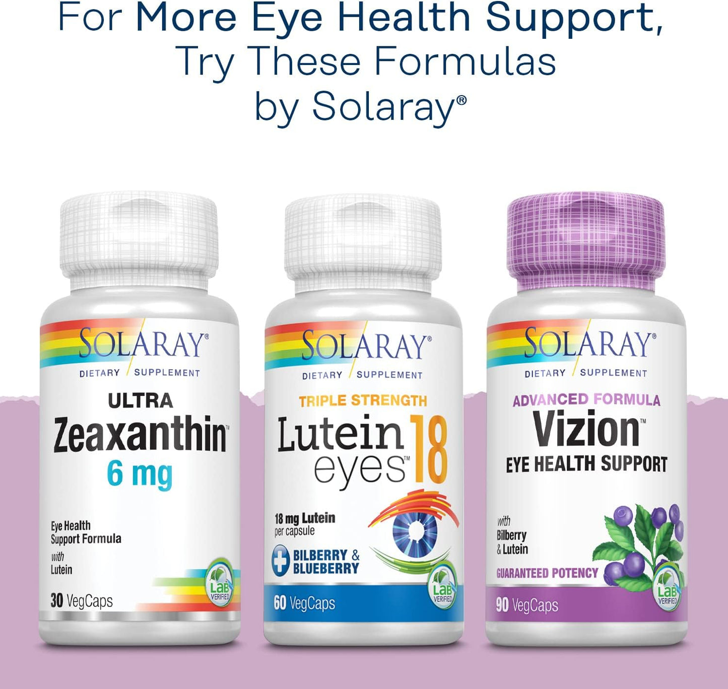 Solaray Bilberry Extract 160mg Capsules - Eye Health & Circulation Support with 36% Anthocyanosides and Blueberry - Vegan - 30 Count