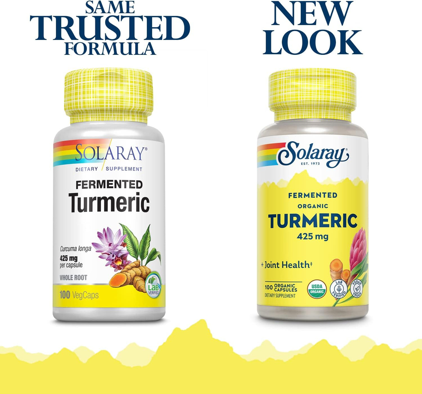 Solaray Fermented Turmeric Root Capsules - 500mg | 100 Vegetarian Capsules
