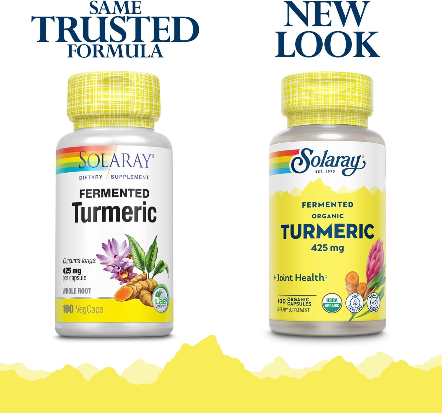 Solaray Fermented Turmeric Root Capsules - 500mg | 100 Vegetarian Capsules