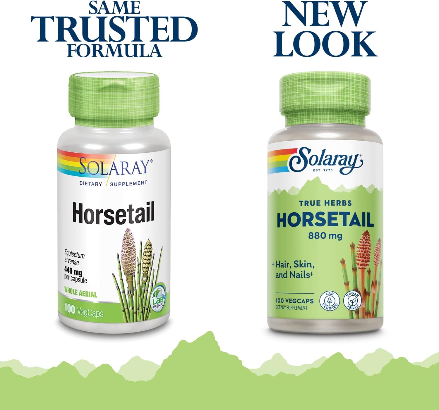 Solaray Horsetail 880mg Silica Supplement for Hair, Skin, Nails & Joints - 100 VegCaps x2 - 50 Servings
