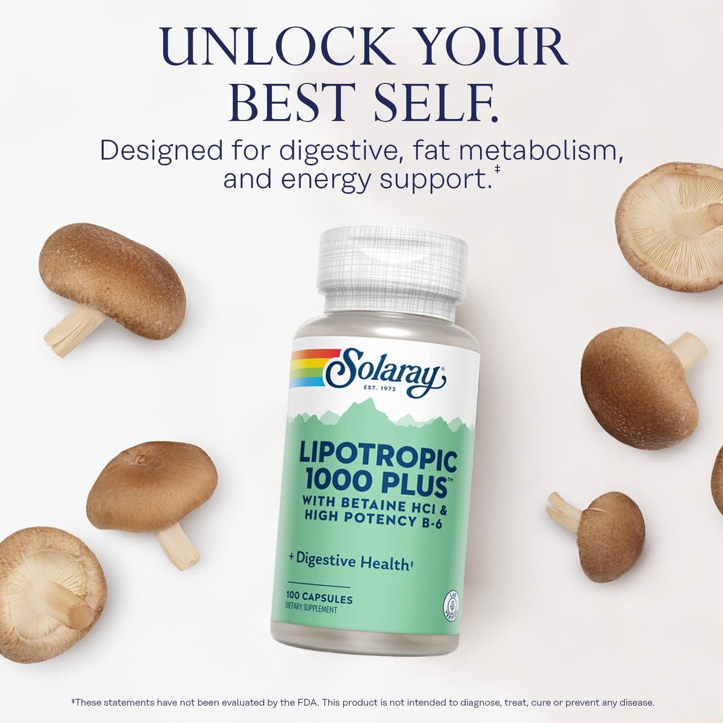 Solaray Lipotropic 1000 Plus Vitamin Capsules - 100 Count for Fat Metabolismboost