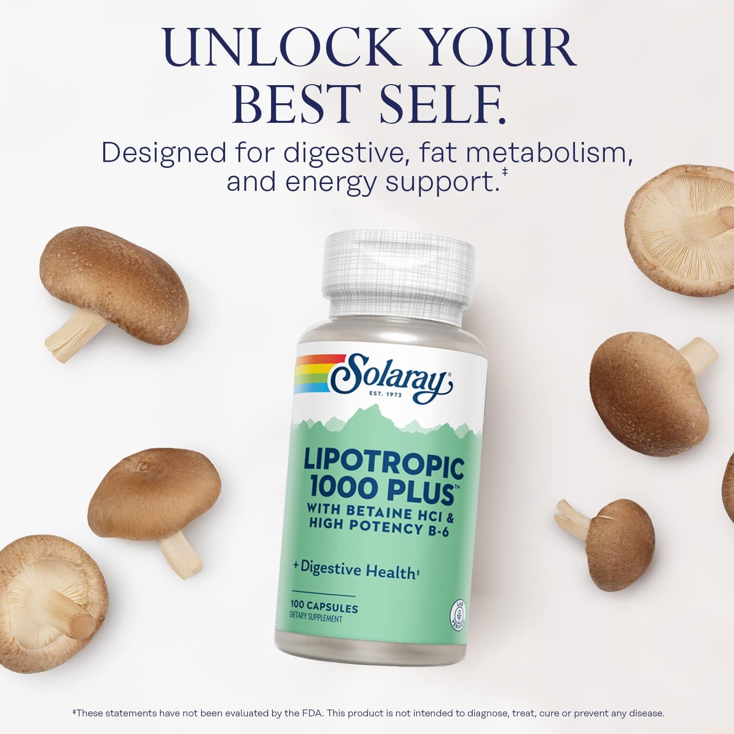 Solaray Lipotropic 1000 Plus Vitamin Capsules - 100 Count for Fat Metabolismboost