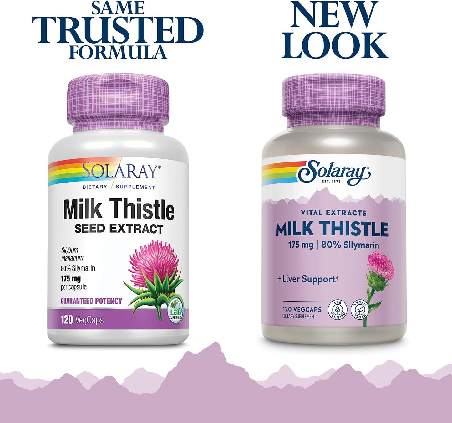 SOLARAY Milk Thistle Seed Extract Capsules - 175mg Antioxidant for Liver Support - Non-GMO & Vegan - 120 Count